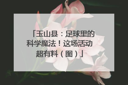 玉山县：足球里的科学魔法！这场活动超有料（图）