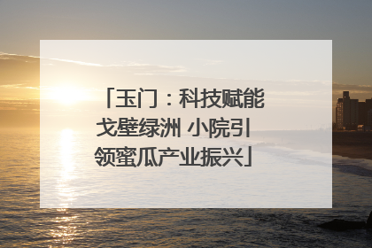 玉门：科技赋能戈壁绿洲 小院引领蜜瓜产业振兴