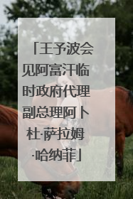 王予波会见阿富汗临时政府代理副总理阿卜杜·萨拉姆·哈纳菲