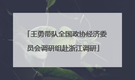 王勇带队全国政协经济委员会调研组赴浙江调研