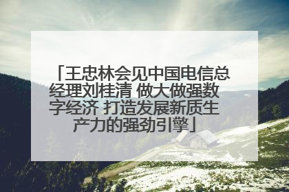 王忠林会见中国电信总经理刘桂清 做大做强数字经济 打造发展新质生产力的强劲引擎