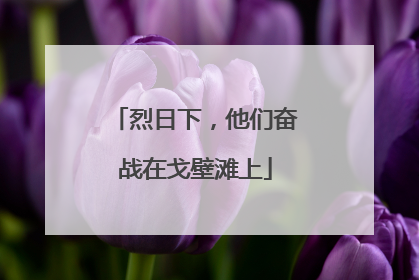 烈日下，他们奋战在戈壁滩上
