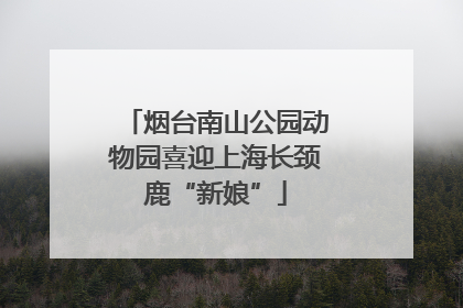 烟台南山公园动物园喜迎上海长颈鹿“新娘”