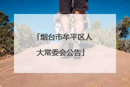 烟台市牟平区人大常委会公告