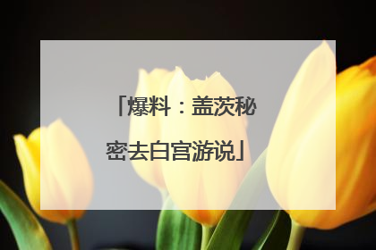爆料：盖茨秘密去白宫游说