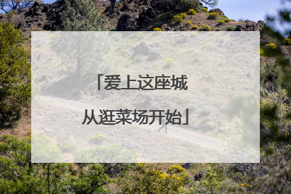 爱上这座城 从逛菜场开始