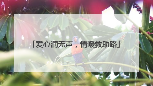 爱心润无声，情暖救助路