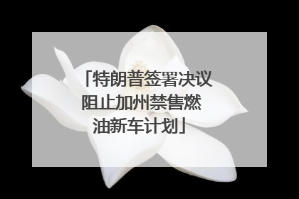 特朗普签署决议 阻止加州禁售燃油新车计划