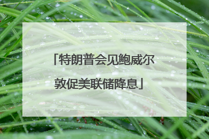 特朗普会见鲍威尔 敦促美联储降息