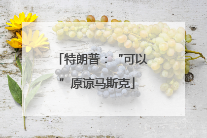 特朗普：“可以”原谅马斯克