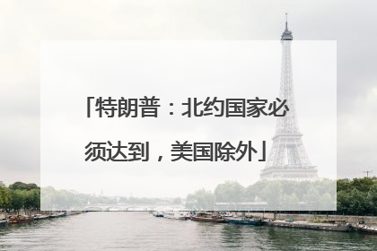 特朗普：北约国家必须达到，美国除外