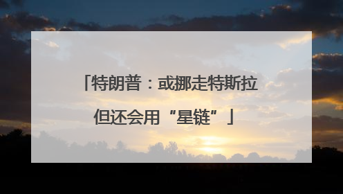 特朗普：或挪走特斯拉 但还会用“星链”