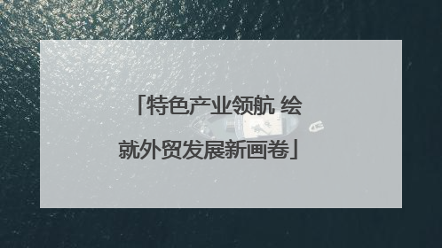 特色产业领航 绘就外贸发展新画卷