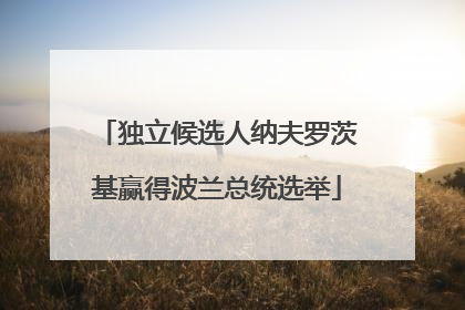 独立候选人纳夫罗茨基赢得波兰总统选举