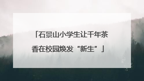石景山小学生让千年茶香在校园焕发“新生”