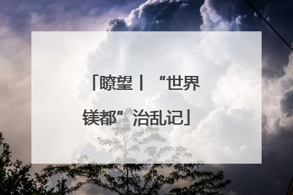 瞭望丨“世界镁都”治乱记