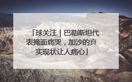 球关注｜巴勒斯坦代表掩面痛哭，加沙的真实现状让人痛心