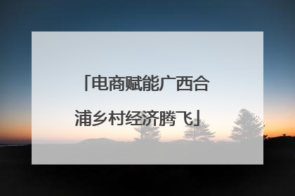 电商赋能广西合浦乡村经济腾飞