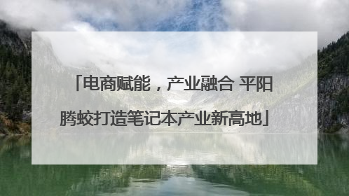 电商赋能，产业融合 平阳腾蛟打造笔记本产业新高地
