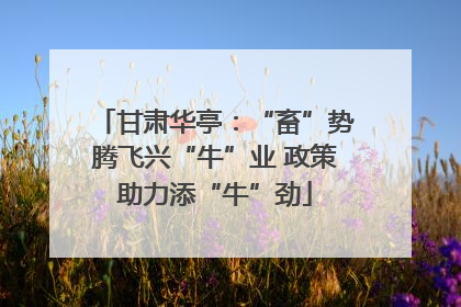 甘肃华亭：“畜”势腾飞兴“牛”业 政策助力添“牛”劲