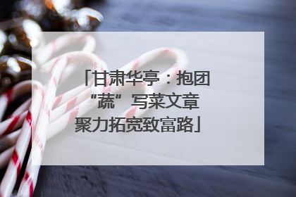 甘肃华亭：抱团“蔬”写菜文章 聚力拓宽致富路