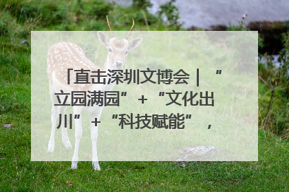 直击深圳文博会｜“立园满园”+“文化出川”+“科技赋能”，成都传媒发布三大文创领域合作清单