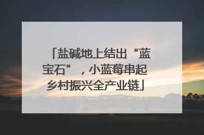 盐碱地上结出“蓝宝石”，小蓝莓串起乡村振兴全产业链