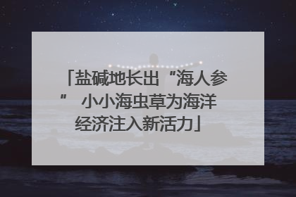 盐碱地长出“海人参” 小小海虫草为海洋经济注入新活力