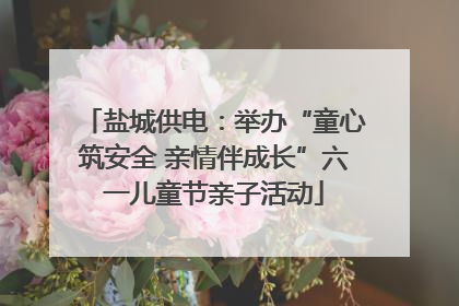 盐城供电：举办“童心筑安全 亲情伴成长”六一儿童节亲子活动