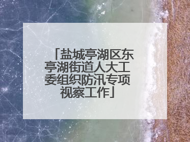 盐城亭湖区东亭湖街道人大工委组织防汛专项视察工作