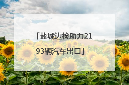 盐城边检助力2193辆汽车出口