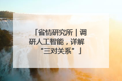 省情研究所｜调研人工智能，详解“三对关系”