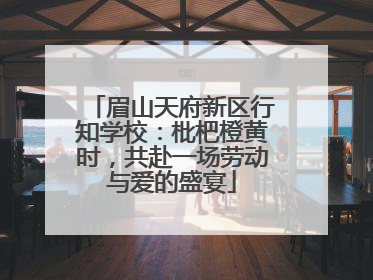 眉山天府新区行知学校：枇杷橙黄时，共赴一场劳动与爱的盛宴