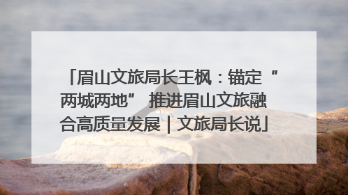眉山文旅局长王枫：锚定“两城两地” 推进眉山文旅融合高质量发展｜文旅局长说