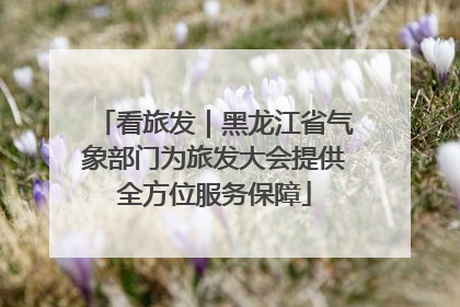 看旅发｜黑龙江省气象部门为旅发大会提供全方位服务保障