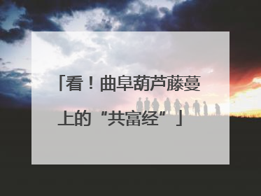 看！曲阜葫芦藤蔓上的“共富经”