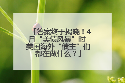答案终于揭晓！4月“美债风暴”时 美国海外“债主”们都在做什么？