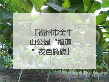 福州市金牛山公园“福道”夜色旖旎