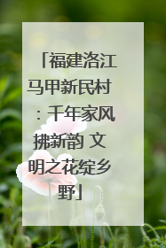 福建洛江马甲新民村：千年家风拂新韵 文明之花绽乡野