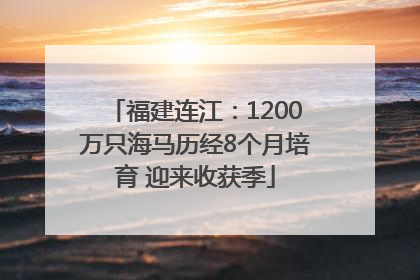 福建连江：1200万只海马历经8个月培育 迎来收获季