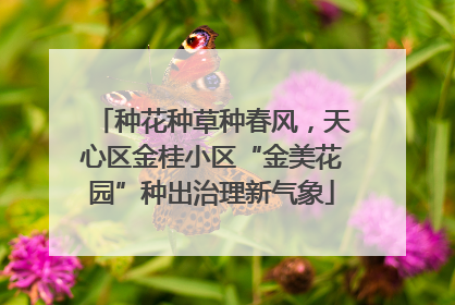 种花种草种春风，天心区金桂小区“金美花园”种出治理新气象