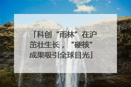 科创“雨林”在沪茁壮生长，“硬核”成果吸引全球目光