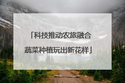 科技推动农旅融合 蔬菜种植玩出新花样
