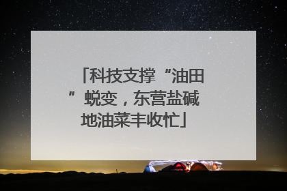 科技支撑“油田”蜕变，东营盐碱地油菜丰收忙