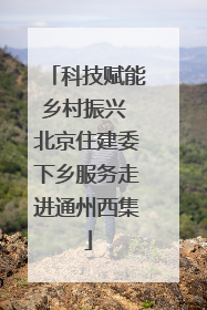 科技赋能乡村振兴 北京住建委下乡服务走进通州西集