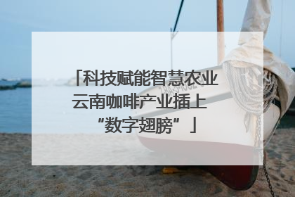 科技赋能智慧农业 云南咖啡产业插上“数字翅膀”