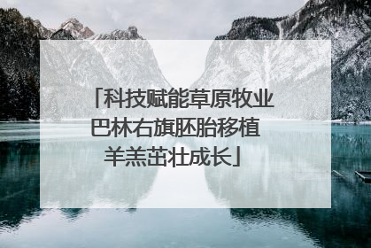 科技赋能草原牧业 巴林右旗胚胎移植羊羔茁壮成长
