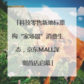 科技零售新地标重构“家场景”消费生态，京东MALL深圳首店启幕