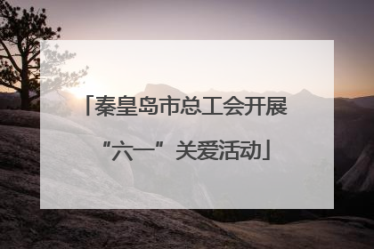 秦皇岛市总工会开展“六一”关爱活动