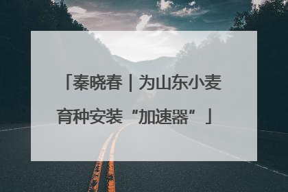 秦晓春｜为山东小麦育种安装“加速器”